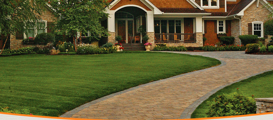 Vision Lawn and Landscape